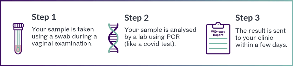 endometrial cancer testing steps